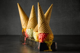 JAN C. BRETTSCHNEIDER