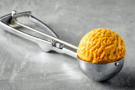 JAN C. BRETTSCHNEIDER