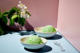 JAN C. BRETTSCHNEIDER