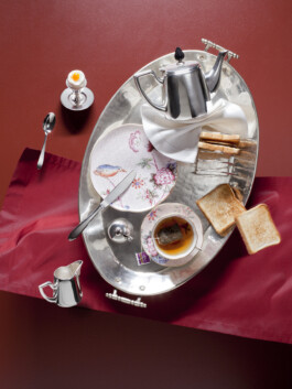 JAN C. BRETTSCHNEIDER