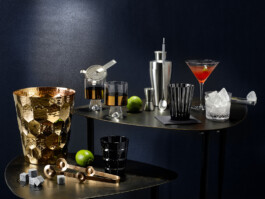 JAN C. BRETTSCHNEIDER