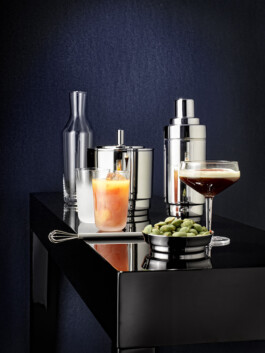 JAN C. BRETTSCHNEIDER