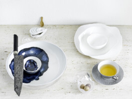 JAN C. BRETTSCHNEIDER