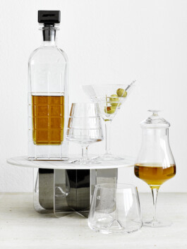 JAN C. BRETTSCHNEIDER