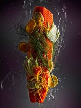 JAN C. BRETTSCHNEIDER