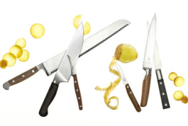 JAN C. BRETTSCHNEIDER