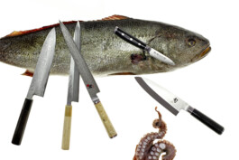 JAN C. BRETTSCHNEIDER