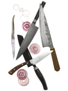 JAN C. BRETTSCHNEIDER