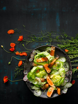 JAN C. BRETTSCHNEIDER