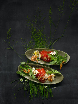 JAN C. BRETTSCHNEIDER