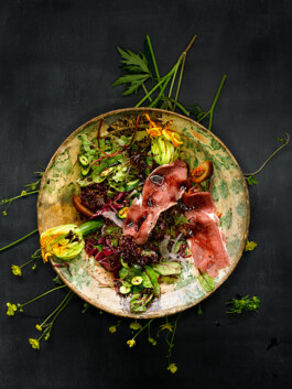 JAN C. BRETTSCHNEIDER