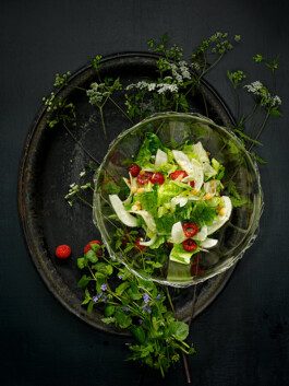 JAN C. BRETTSCHNEIDER