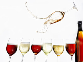 JAN C. BRETTSCHNEIDER