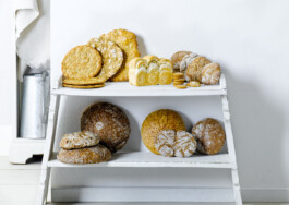 JAN C. BRETTSCHNEIDER