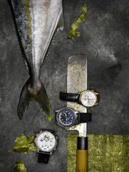 JAN C. BRETTSCHNEIDER