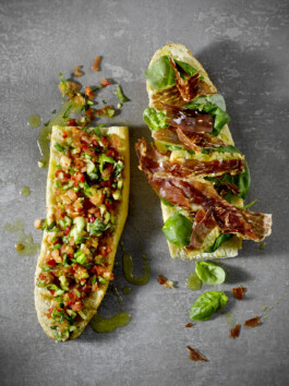 JAN C. BRETTSCHNEIDER