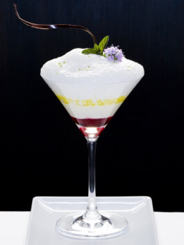 JAN C. BRETTSCHNEIDER