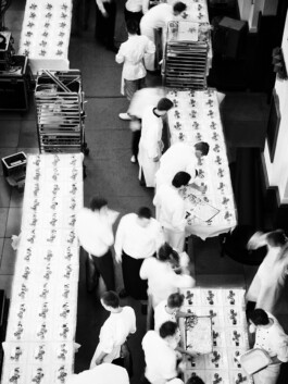 JAN C. BRETTSCHNEIDER