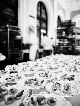 JAN C. BRETTSCHNEIDER