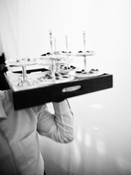 JAN C. BRETTSCHNEIDER