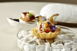 JAN C. BRETTSCHNEIDER