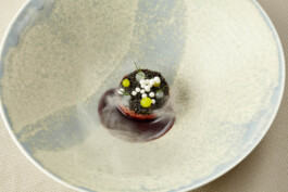 JAN C. BRETTSCHNEIDER