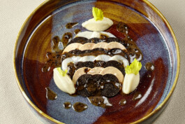 JAN C. BRETTSCHNEIDER