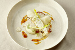 JAN C. BRETTSCHNEIDER