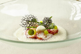 JAN C. BRETTSCHNEIDER