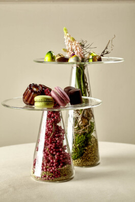 JAN C. BRETTSCHNEIDER