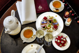 JAN C. BRETTSCHNEIDER