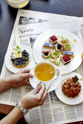 JAN C. BRETTSCHNEIDER