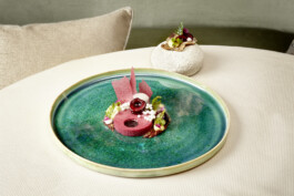 JAN C. BRETTSCHNEIDER