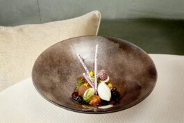 JAN C. BRETTSCHNEIDER