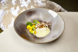 JAN C. BRETTSCHNEIDER