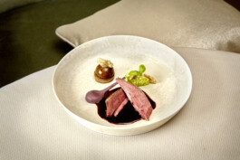 JAN C. BRETTSCHNEIDER