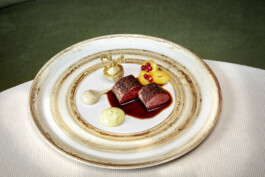 JAN C. BRETTSCHNEIDER