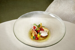 JAN C. BRETTSCHNEIDER