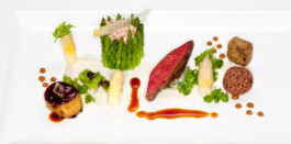 JAN C. BRETTSCHNEIDER