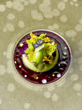 JAN C. BRETTSCHNEIDER