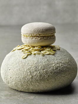 JAN C. BRETTSCHNEIDER