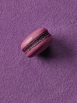 JAN C. BRETTSCHNEIDER