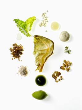 JAN C. BRETTSCHNEIDER