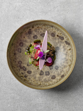 JAN C. BRETTSCHNEIDER