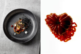 JAN C. BRETTSCHNEIDER