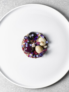 JAN C. BRETTSCHNEIDER