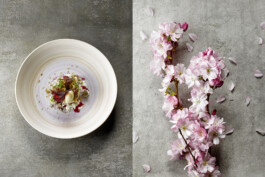 JAN C. BRETTSCHNEIDER