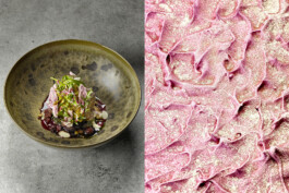 JAN C. BRETTSCHNEIDER