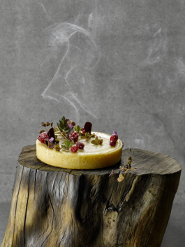 JAN C. BRETTSCHNEIDER