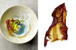 JAN C. BRETTSCHNEIDER